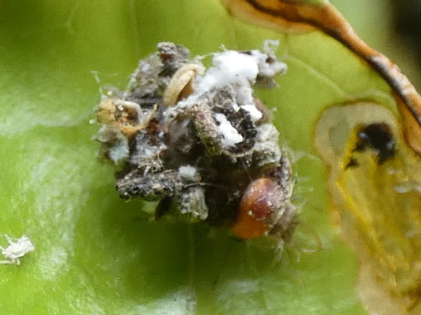 photo_1